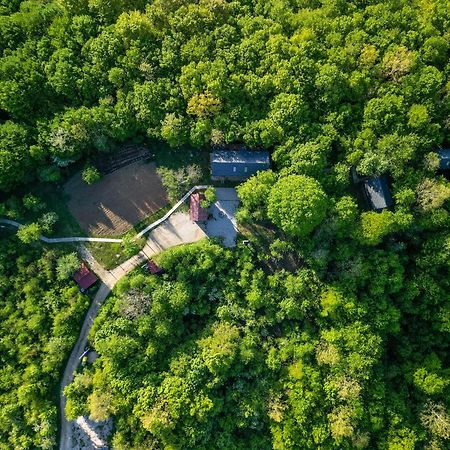 Tree Elements Treehouse Retreat Apartment Slunj Ngoại thất bức ảnh
