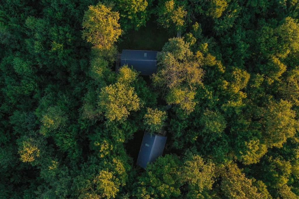 Tree Elements Treehouse Retreat Apartment Slunj Ngoại thất bức ảnh