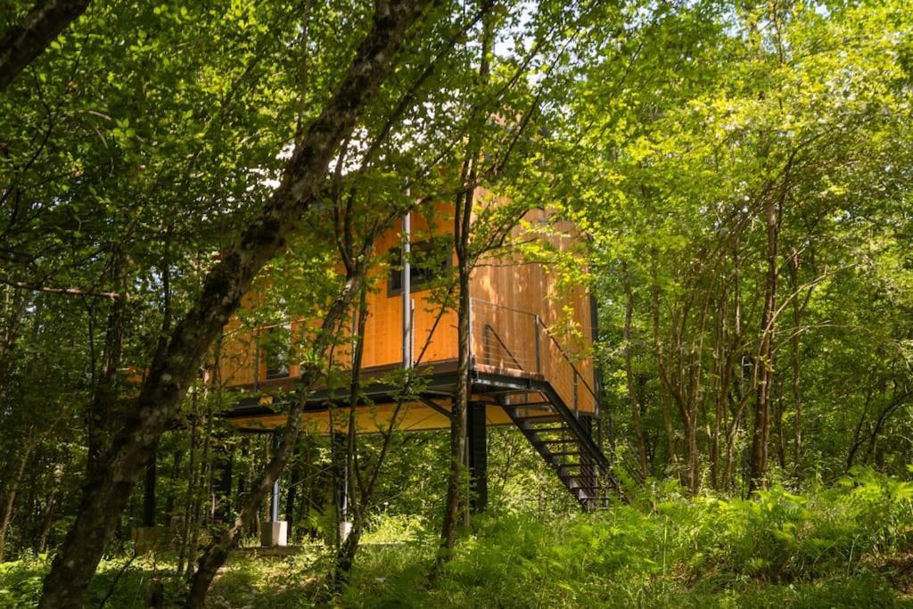 Tree Elements Treehouse Retreat Apartment Slunj Phòng bức ảnh